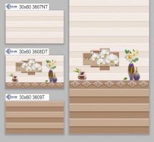 GẠCH ỐP TƯỜNG 30X60 3607T