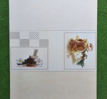GẠCH ỐP TƯỜNG 30X60 TASA 2014