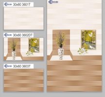 GẠCH ỐP TƯỜNG 30X60 3601T
