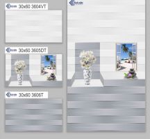 GẠCH ỐP TƯỜNG 30X60 3604T