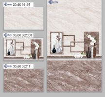 GẠCH ỐP TƯỜNG 30X60 3619T