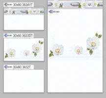GẠCH ỐP TƯỜNG 30X60 3634T