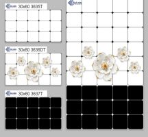 GẠCH ỐP TƯỜNG 30X60 3637T