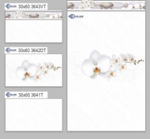GẠCH ỐP TƯỜNG 30X60 3643T