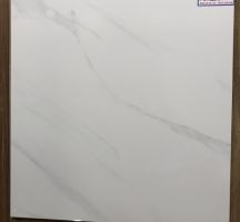 GẠCH LÁT NỀN 60X60 PRIME 9112