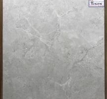 GẠCH LÁT NỀN 60X60 PRIME 9120