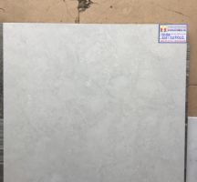 ĐÁ BÓNG KIẾNG 60X60 VIGLACERA KH-67002