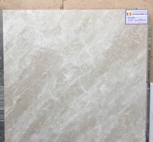 ĐÁ BÓNG KIẾNG 60X60 VIGLACERA KH-67004
