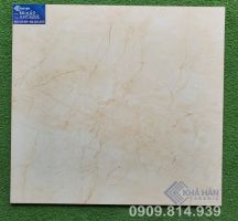 ĐÁ BÓNG KIẾNG 60X60 KHT7202
