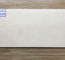GẠCH ỐP TƯỜNG 30X60 VIGLACERA BS3627