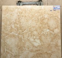GẠCH LÁT NỀN CATALAN BÓNG KIẾNG TOÀN PHẦN 800X800 8009