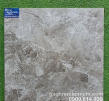 GẠCH VIGLACERA MỜ LÁT NỀN 60X60 6913