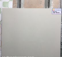 GẠCH Ý MỸ 60X60 P66001 LÁT NỀN