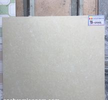 GẠCH Ý MỸ 60X60 P67002