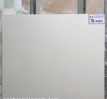 GẠCH Ý MỸ 60X60 P67007