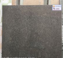 GẠCH Ý MỸ 60X60 P67009
