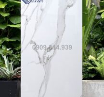 GẠCH 80X160 NHẬP KHẨU RIGATO WHITE