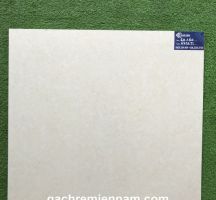 GẠCH TASA 60X60 STN6501