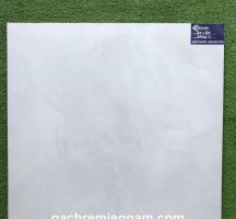 GẠCH TASA 60X60 LÁT NỀN STN6502