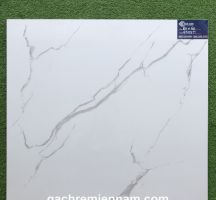 GẠCH LÁT NỀN 60X60 TASA STN6503