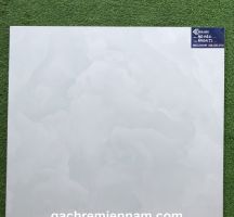 GẠCH TASA 60X60 STN6504