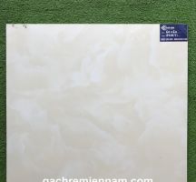 GẠCH TASA 60X60 LÁT NỀN STN6505