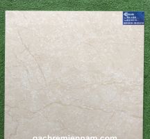 GẠCH TASA 60X60 STN6506