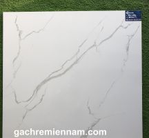 GẠCH 80X80 TASA 8501 GIÁ RẺ