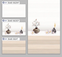 GẠCH ỐP TƯỜNG 30X60 3622T