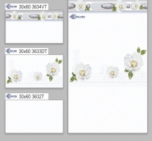 GẠCH ỐP TƯỜNG 30X60 3634T