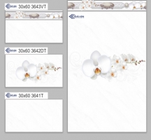 GẠCH ỐP TƯỜNG 30X60 3643T