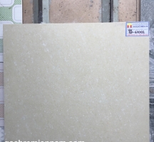 GẠCH Ý MỸ 60X60 P67002