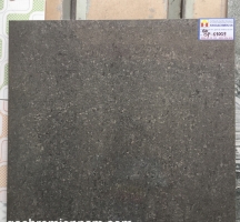 GẠCH Ý MỸ 60X60 P67009