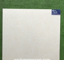 GẠCH TASA 60X60 STN6501