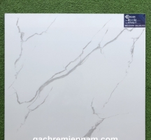 GẠCH LÁT NỀN 60X60 TASA STN6503