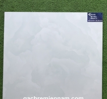 GẠCH TASA 60X60 STN6504