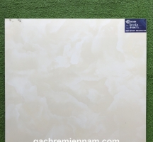 GẠCH TASA 60X60 LÁT NỀN STN6505