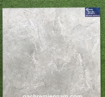 GẠCH LÁT NỀN 60X60 TASA STN6507