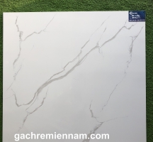 GẠCH 80X80 TASA 8501 GIÁ RẺ