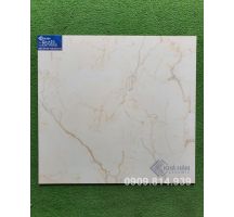 ĐÁ BÓNG KIẾNG 60X60 KHT6050