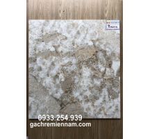 GẠCH LÁT NỀN PRIME 60X60 9020