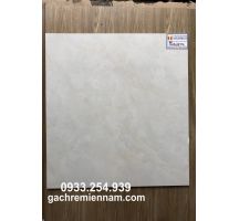 GẠCH LÁT NỀN 60X60 PRIME 9118