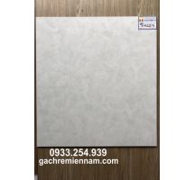 GẠCH LÁT NỀN 60X60 PRIME 9122