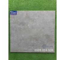 Gạch mờ 60x60 Viglacera 662005