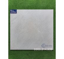 Gạch mờ nhám 60x60 Viglacera 662008