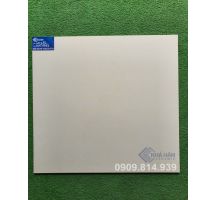 ĐÁ BÓNG KIẾNG 60X60 KHT7023