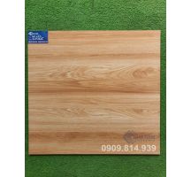 GẠCH LÁT NỀN BÓNG KIẾNG 60X60 KHT7024