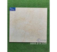 ĐÁ BÓNG KIẾNG 60X60 KHT7202