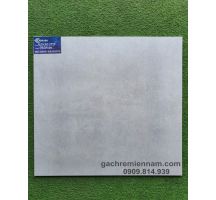 ĐÁ MỜ 60X60 PRIME 9624