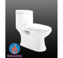 Bàn cầu liền khối Viglacera C 109